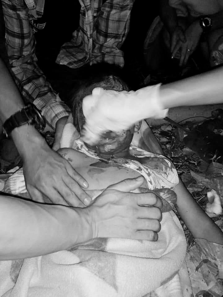 MilkTeaMM_MTAM's tweet photo. KNU Tatmahar 5 Region(Daypuno region) - Myanmar Military Terrorists Attacked residents with bombs from airstrikes on Apr 4.Many locals including kids &amp; elders are Badly Injured. They don't have wifi access so news are very delayed. #WhatsHappeninglnMyanmar #CrimesAgainstHumanity https://t.co/opvkYsVD1P