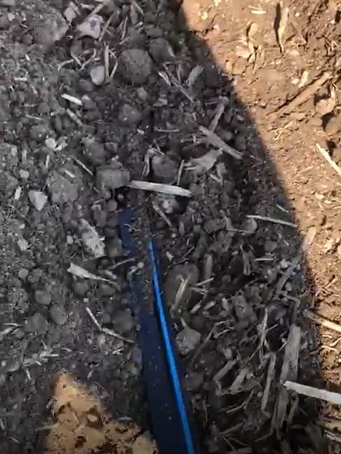 Vertify_nl's tweet photo. stronken te voorkomen. Het idee is dat met druppelslangen tot het einde van de teelt water bij de wortels kan worden gegeven met als resultaat een ziektevrij scherm zonder hol. Het bodemvocht wordt in deze proef gestuurd aan de hand van Farm21 sensoren. #vertify #explore #explain https://t.co/UlCWWKavCr