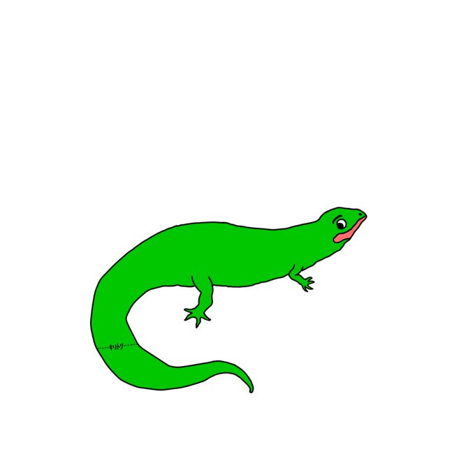 トカゲの尻尾のtwitterイラスト検索結果 トカゲの尻尾のtwitterイラスト検索結果