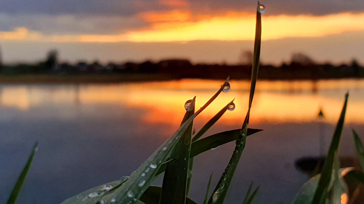 Zomaar een kwartiertje langs de Afgedamde Maas bij zonsopgang. Wat een mooi uitzicht bij het mooiste moment van de dag! 
#afgedamdemaas #Altena #Andel #zonsopgang #kleurrijk #weeronline