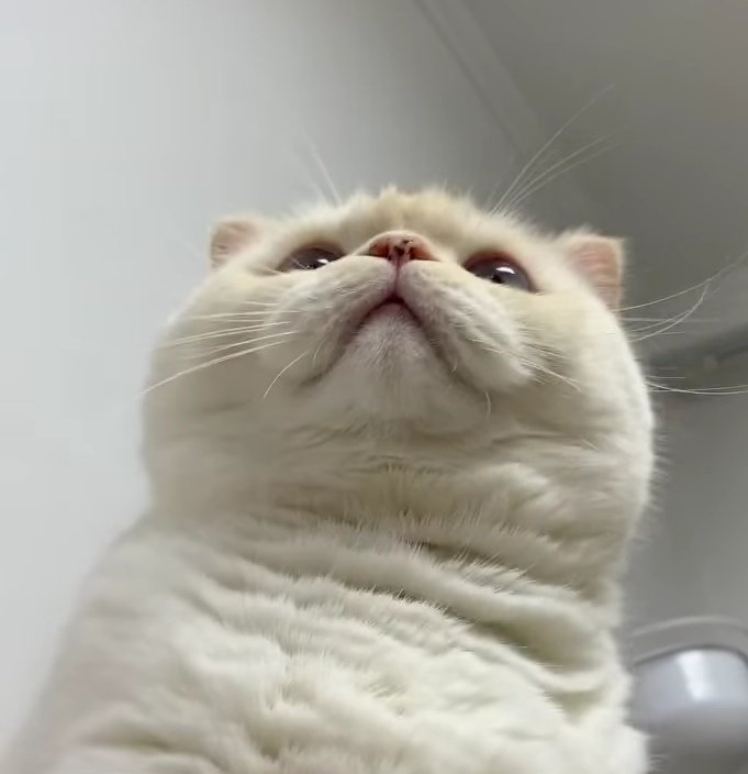 fromkittyk's tweet photo. https://t.co/iNVElNfI5m