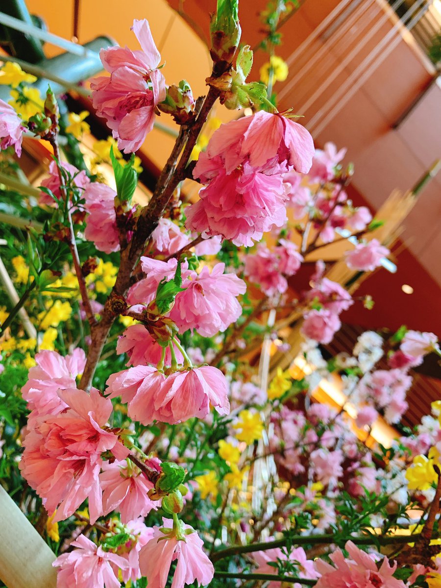 東京ミッドタウン Twitter Search