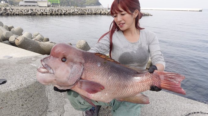 Popular Tweets Of マルコス 釣り名人への道 1 تحليلات تويتر الرسومية الخاصة بهوتويت Whotwi Popular Tweets Of マルコス 釣り名人への道 1 تحليلات تويتر الرسومية الخاصة بهوتويت Whotwi