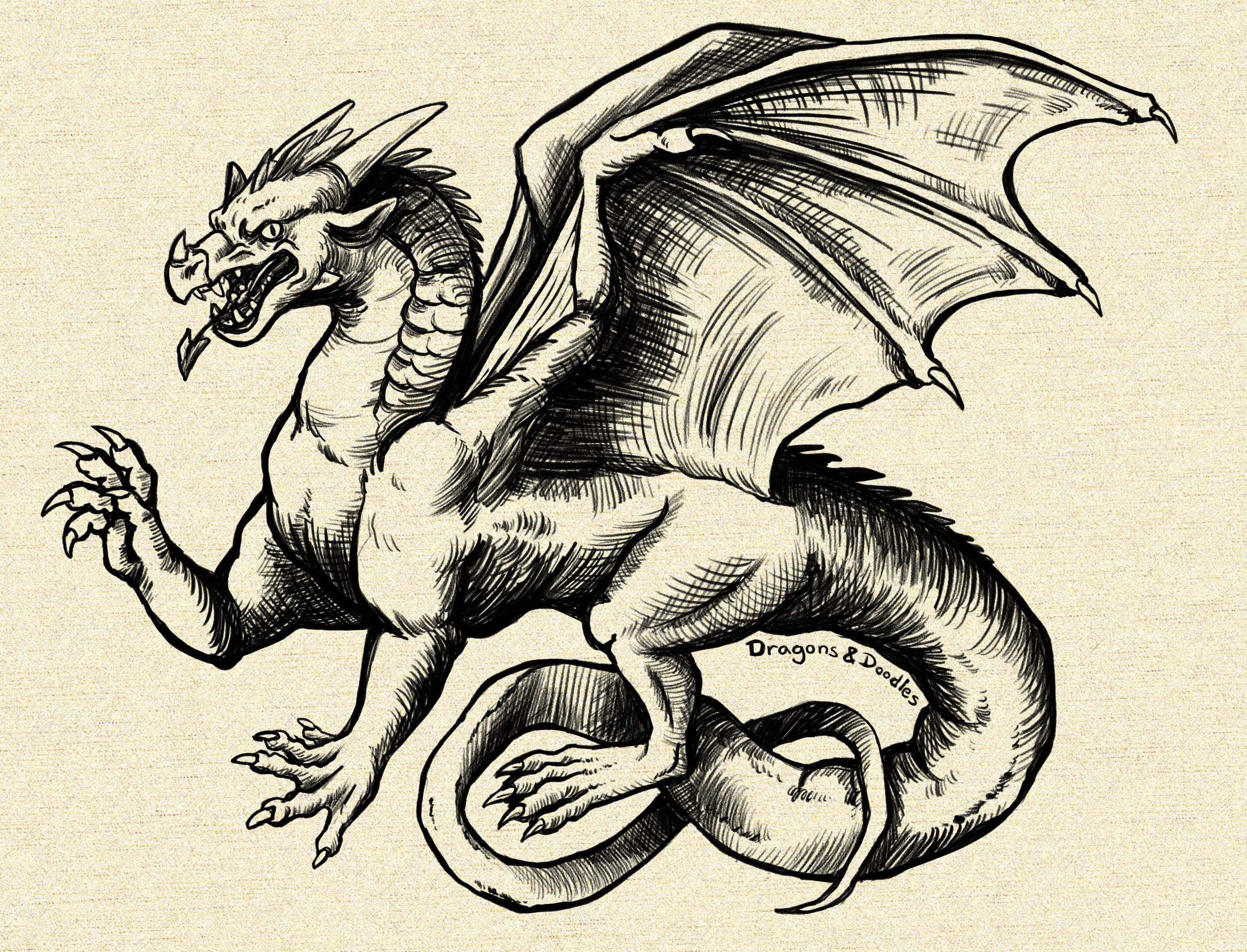 medieval dragons