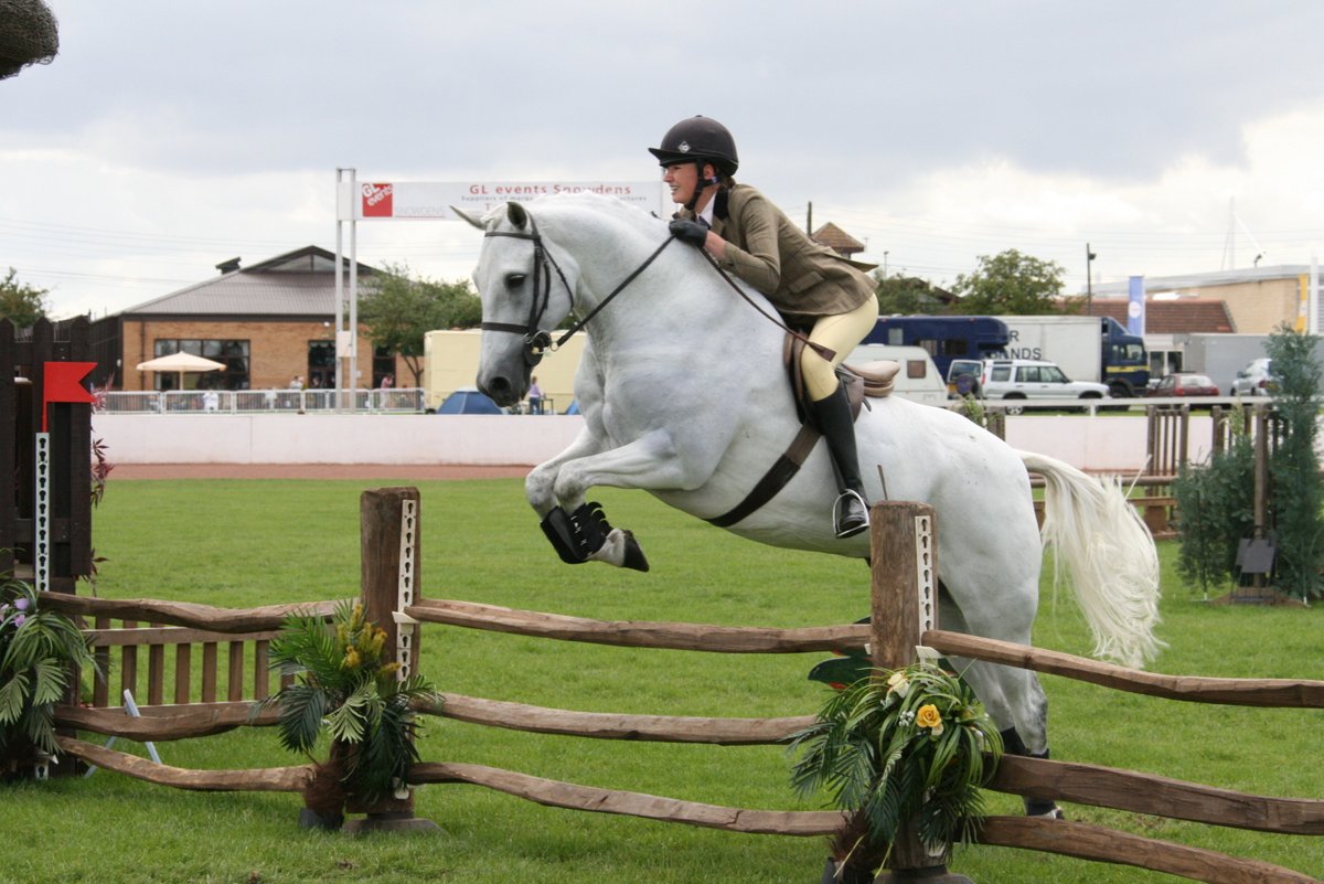 Time for another throwback.... 

#kneesup #workinghunter #equifest #horses #ponies