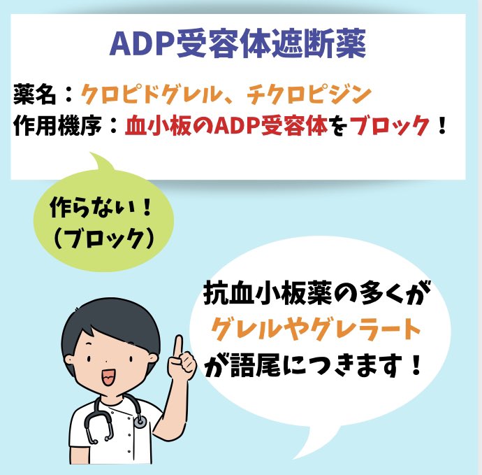 かねこち@薬学部アドバイザー on X: かねこち@薬学部アドバイザー on X:
