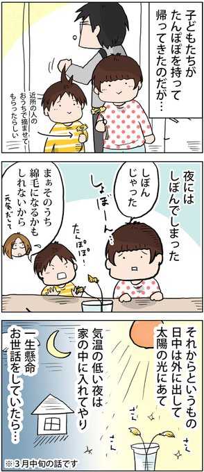 摘んだタンポポを綿毛にしたい
https://t.co/9R1EpM42es 