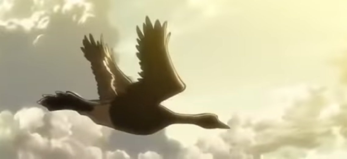chikonjilapi's tweet photo. The fact that first scene of s1 ep1 was the birds flying and next scene was the bird's reflection on Eren's eyes.... I can't process this!! Isamaya you brilliant fool!! 
#ThankYouIsayama 
#aot139spoilers https://t.co/Vv9wUW2FyG