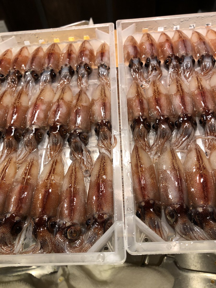 酒場 ななめ 荻窪駅南口酒場ななめです 昨日も皆様ありがとうございました 復活した 骨付き鳥のホロホロ蒸し やっぱり人気です 本日もお席空きありますのでぜひ 引き続き平日は16時から 土日は15時からやってます