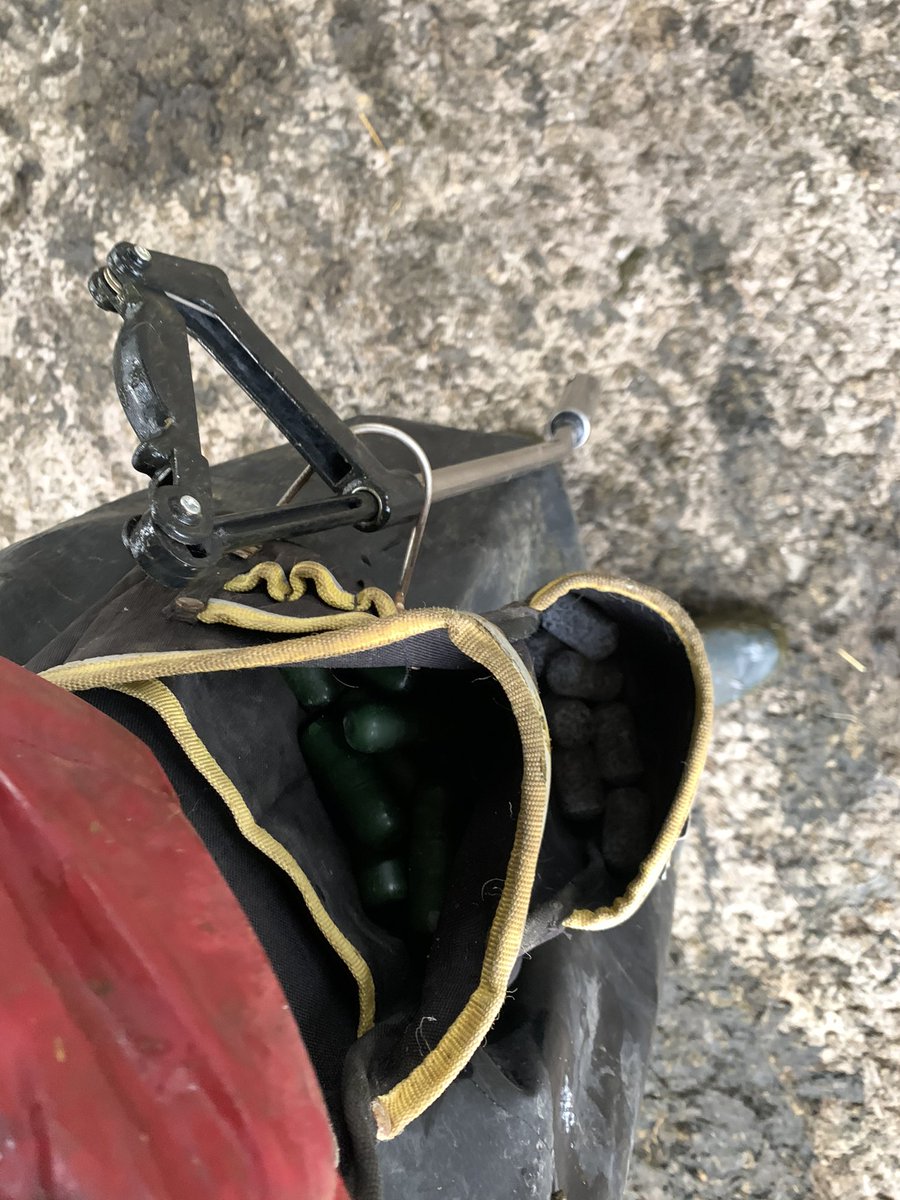 Blousing cows while Colin milks. Triple cup of tea needed after. Nail bag makes it handier on me.