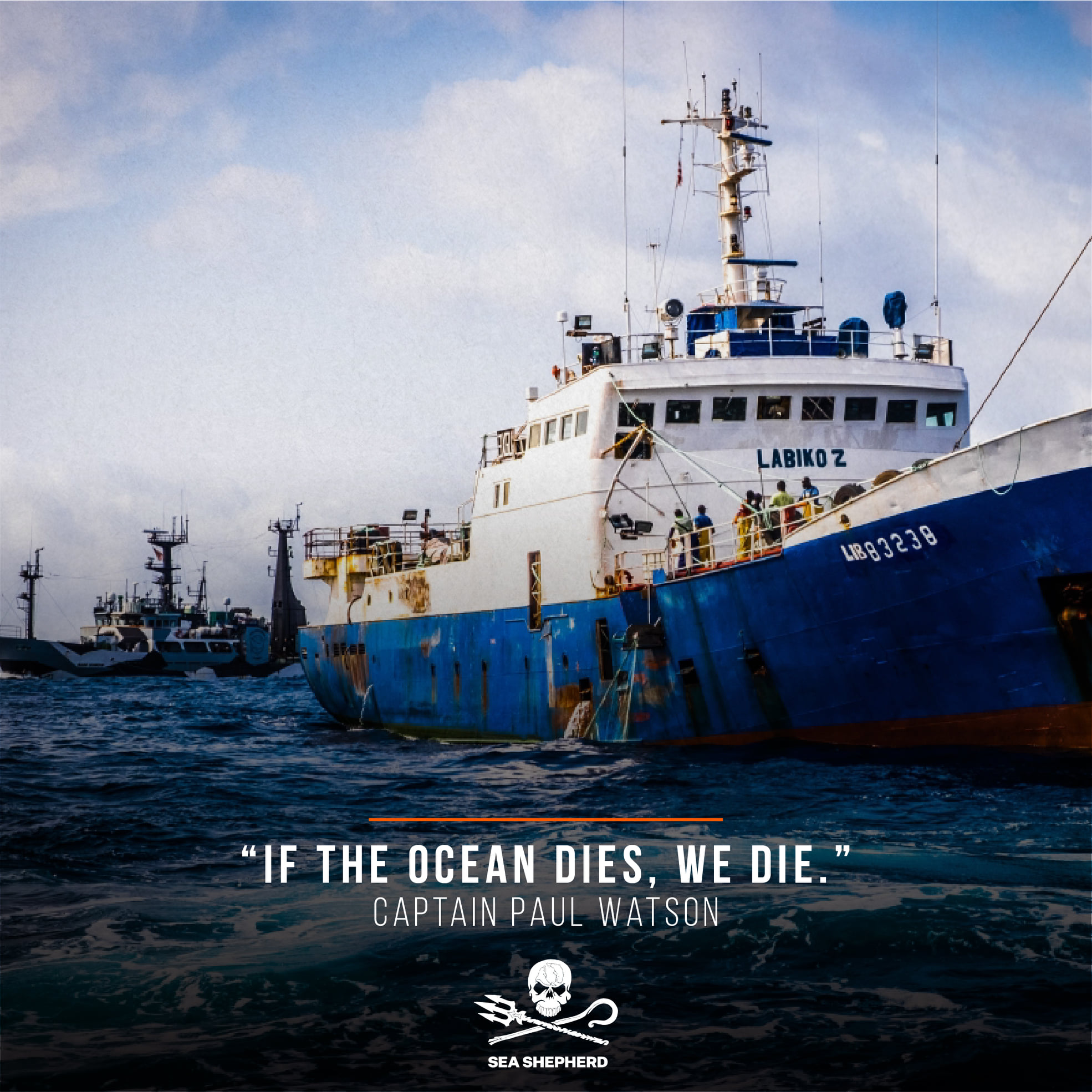 Sea Shepherd: A Movement 