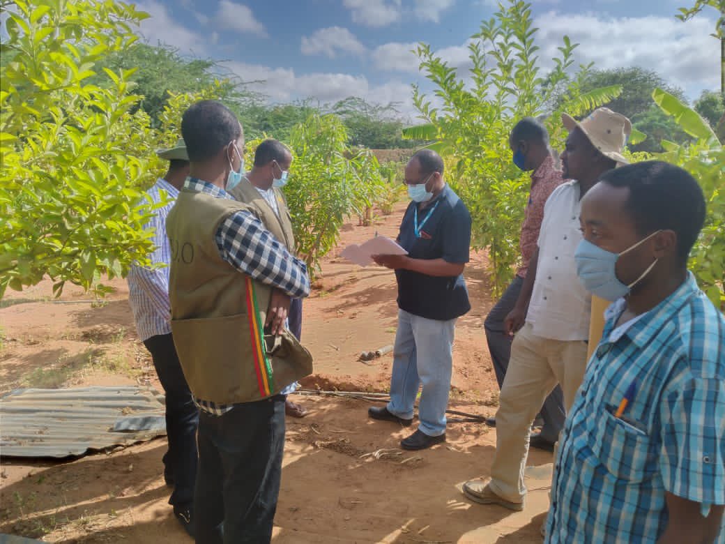 RRDO2022's tweet photo. A team from #UNHCR program and environment associate  in conjunction with RRDO team  verifying  The energy and environment project activities in 2020. They visited the Nurseries, school orchards farms  and #RRDO stove production sites. https://t.co/VbVQiVDvWx