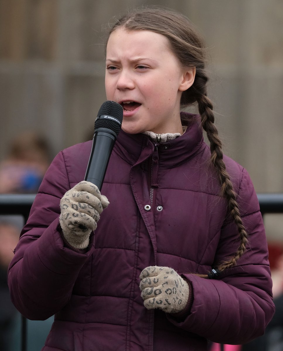 Lili Flook tweet media