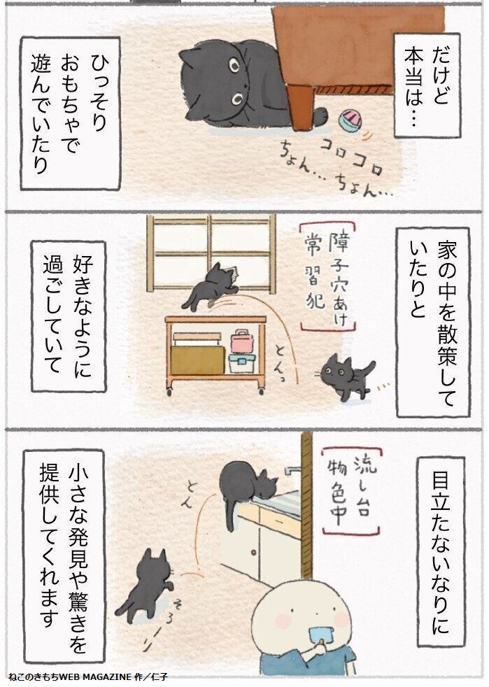 【ねこのきもちWEB MAGAZINE連載陣のご紹介】

★ ねこ連れ草 ★
先住猫のうずらちゃん、保護猫のかんたろうくんの2匹の猫生活を、飼い主である「私」(仁子さん)が独特の視点で観察する、ほのぼのねこ日記♪

▼連載はこちらから ※画像は第133回
https://t.co/Sshc0UmyXx 