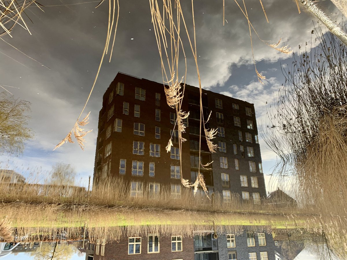 De realiteit van de spiegel...