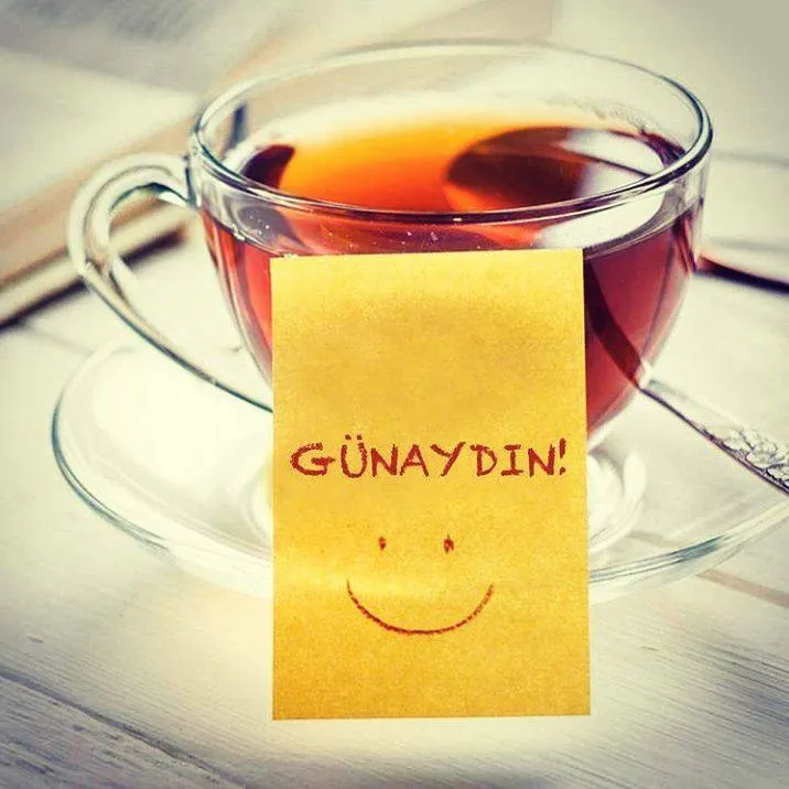 ercan 0666 ankara (@ercanank06) on Twitter photo 