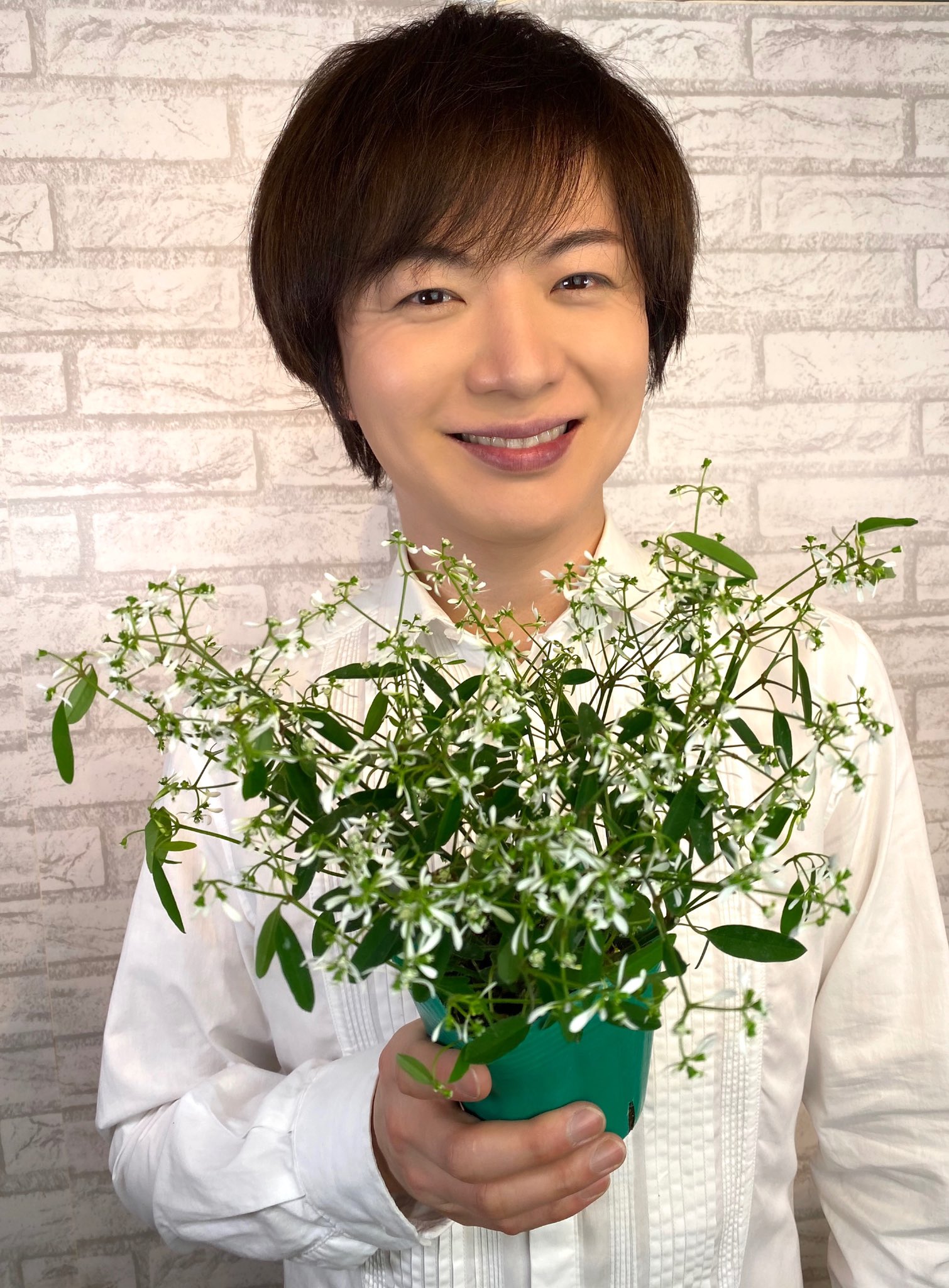 クチナシの花 Takeshima Staff ユーフォルビアダイアモンドフロスト 爽やかな中にも愛らしさのある 可憐な花に優しさを感じます いつも私達は宏くんから心を明るく照らして頂いて 楽しい日々を過ごせます ひろネット の皆様との繋がり 嬉しいです