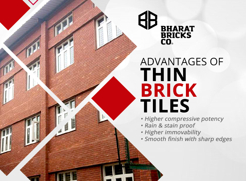 Thin Brick Tiles are one of the most popular and more affordable options to conventional bricks. These bricks give the perfect solution for getting a classy yet strong look of a constructed building.

Explore more - bit.ly/3mu6tTK

#bharatbricks #thinbricktiles #classy