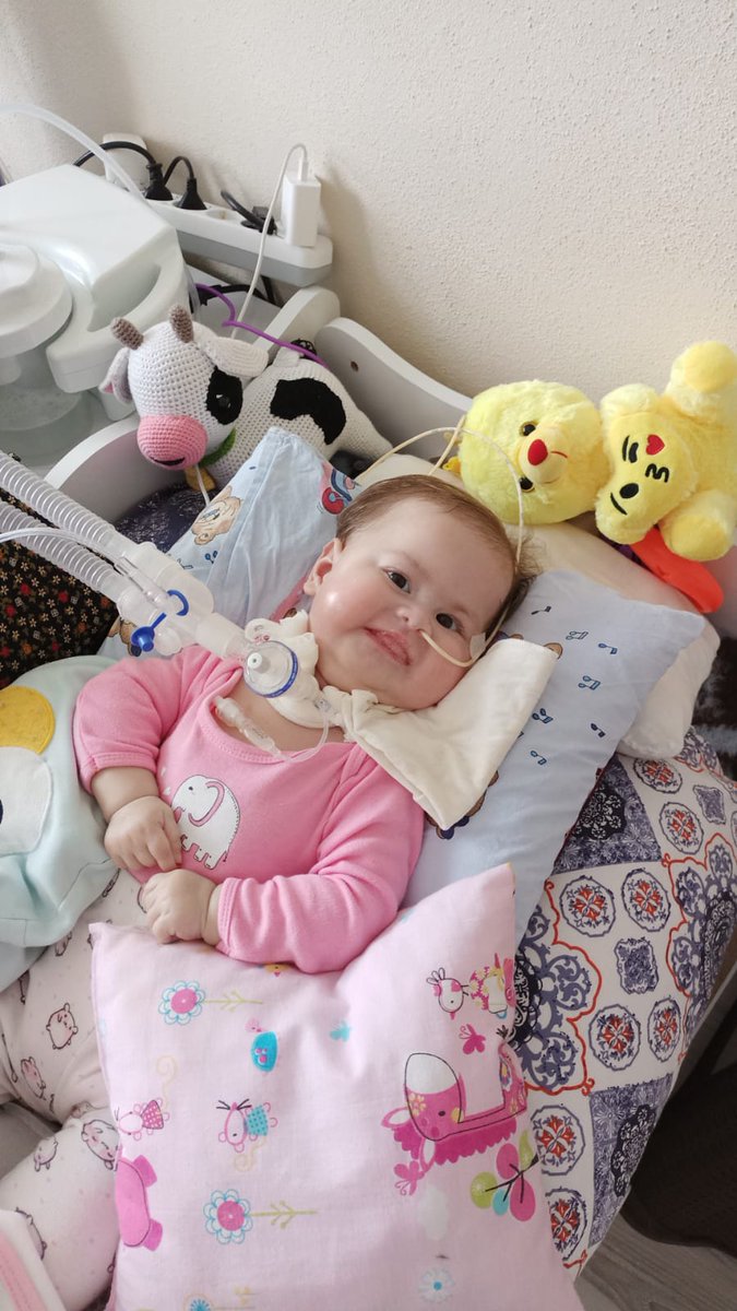 #AlinaBoz 
Gülüşümün solmaması için bugün beni paylaşır mısınız?
69 bin kişinin 250 tlsi beni ilacıma lavuşturucak🙏