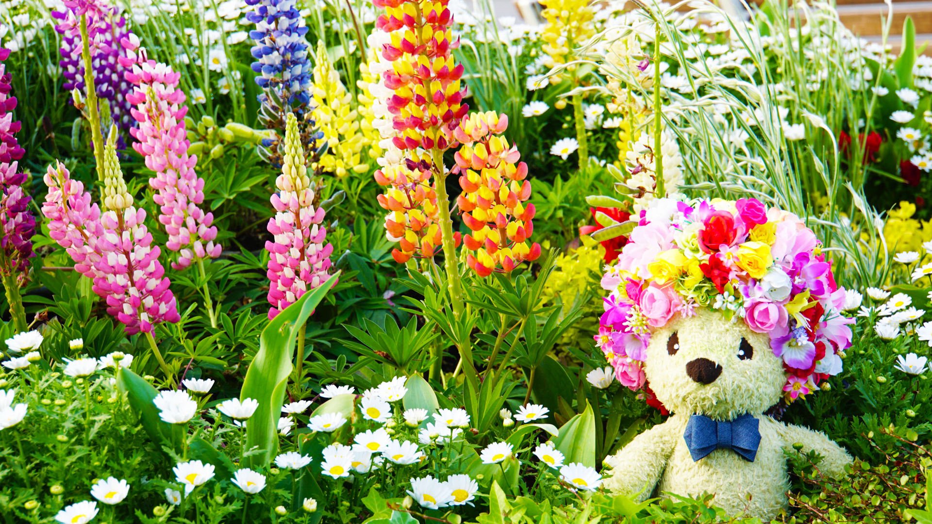 ガーデンネックレス横浜公式 4月8日 山下公園 本日は山下公園をガーデンベアとお散歩しました 山下公園海沿いの赤い靴花壇にはカラフルなルピナスやアネモネなどの花々が元気よく咲いています ガーデンネックレス横浜 ガーデンネックレス