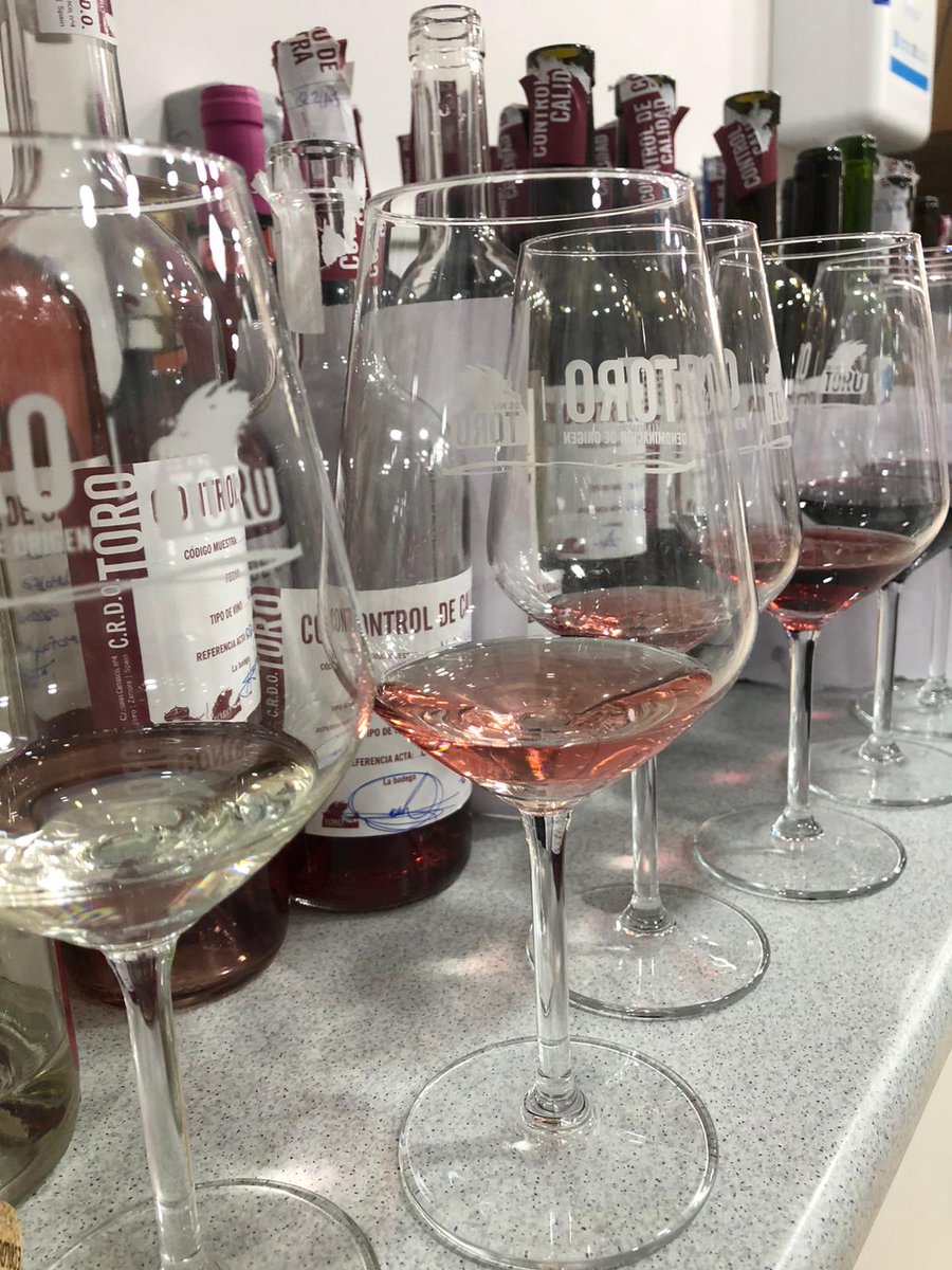 ¿Blanco, rosado o tinto? Por qué vino de Toro te decides? #DOToro 🥰🍷👇
