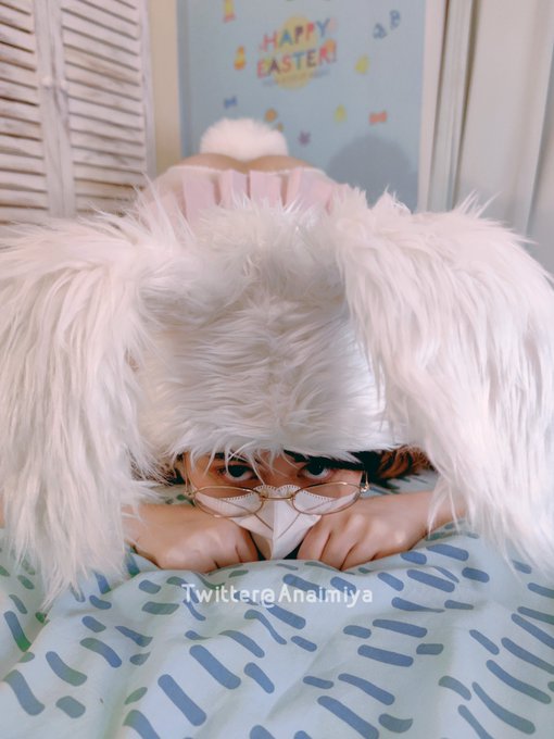 Pet me~🐇🐰 https://t.co/eNg7hpSvms https://t.co/oypfPpeiGe