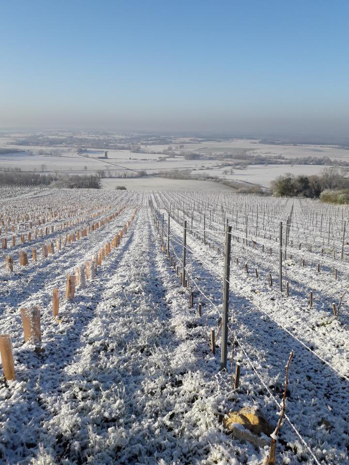 LouisLatourAgencies tweet media