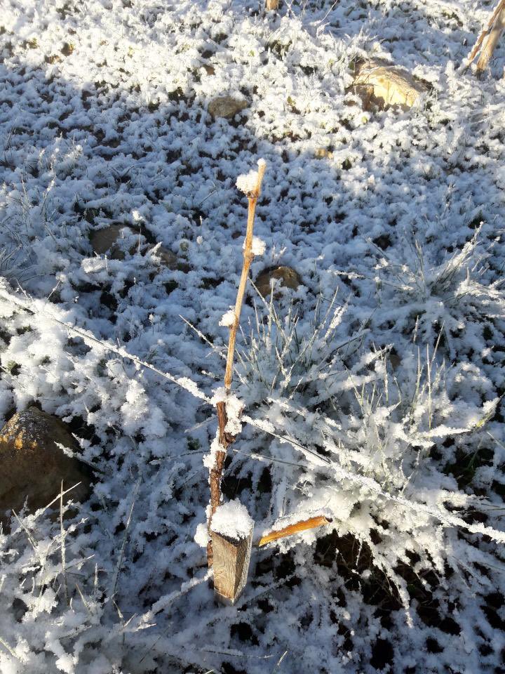 LouisLatourAgencies tweet media