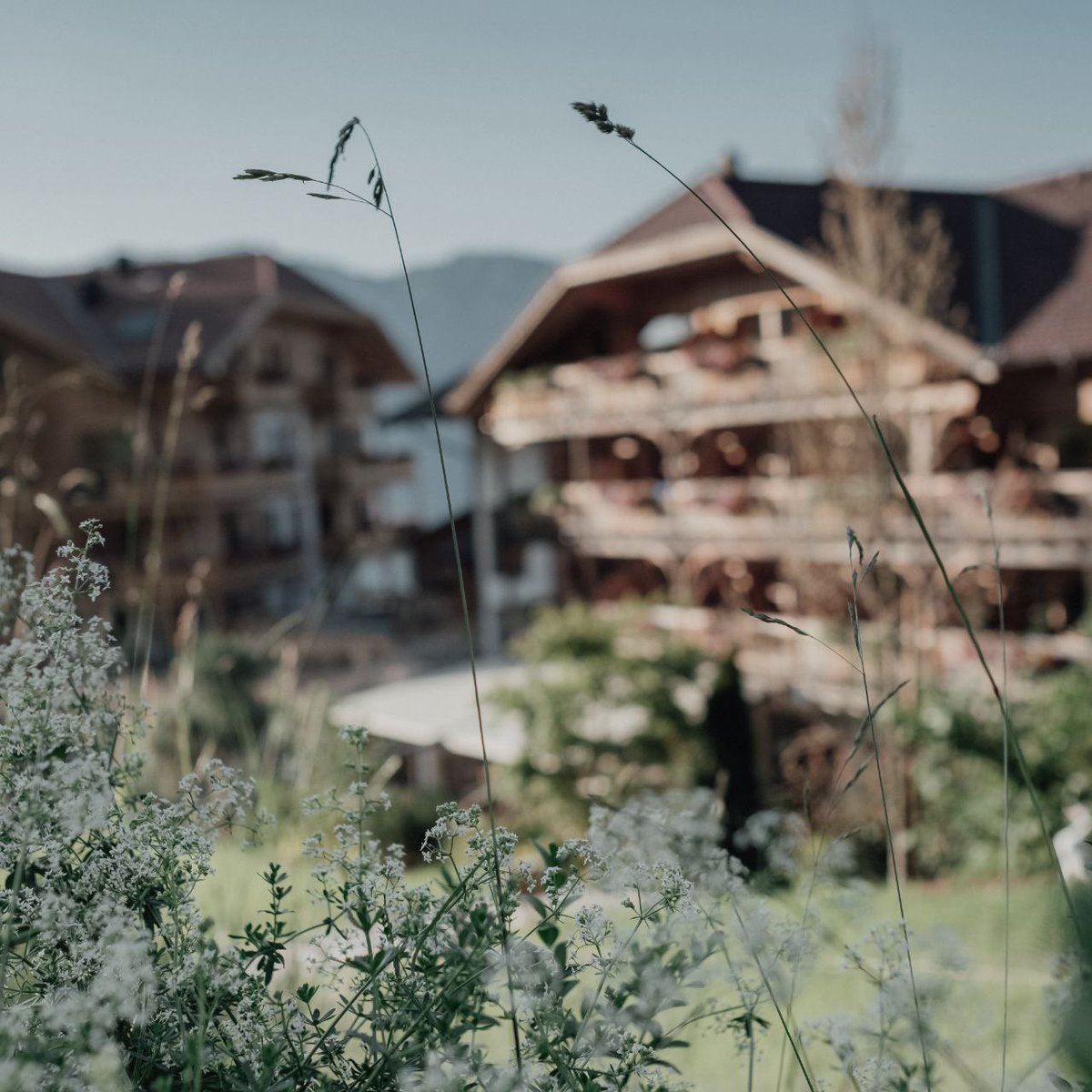 #Nachhaltigkeit - Heute an morgen denken: Nur wer um die #Schönheit des #Heute weiß, ist sich seiner Verantwortung für das #Morgen bewusst.