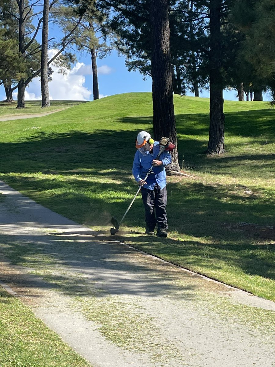 RCGCsuper's tweet photo. We took full advantage of the closure on holes 19-27 today, the majority of the bunkers were snipped, paths edged and greens dusted @RoyalCanberra https://t.co/rNDP9DQ8VQ