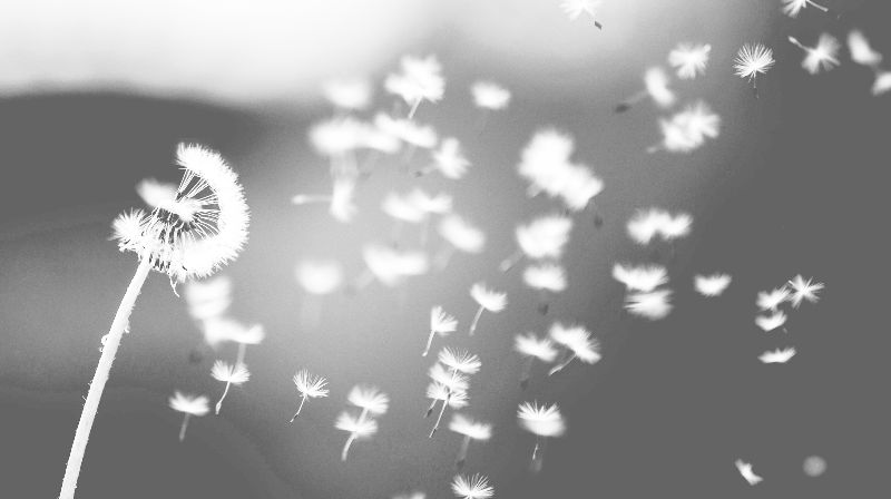 Onko työpöydälläsi hankeaihio, jonka vaikuttavuuden haluat varmistaa? Etsitkö hyviä tapoja tuottaa luotettavaa tietoa vaikuttavuudesta? Lue tästä Vaikuttavuuden verkkokursseista: - mailchi.mp/25e08c09f313/v…