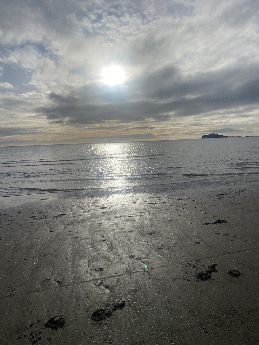 Day 98/100
#sunshine #100daysofwalking