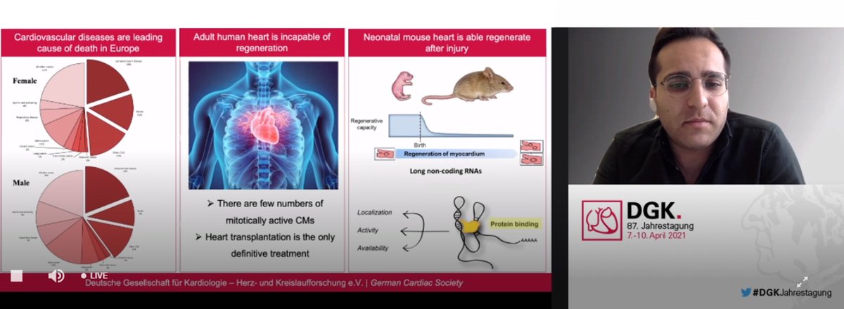 Institute of CVR (@instcardreg_ffm) on Twitter photo ICR started the #DGKJahrestagung 2021 with a interesting talk from <a href="/galipaslann/">Galip S. Aslan</a> showing how a long non-coding RNA regulate cardiomyocyte binucleation and postnatal cardiac regeneration. Looking forward to the next days <a href="/DGK_org/">Deutsche Gesellschaft für Kardiologie</a> ICR started the #DGKJahrestagung 2021 with a interesting talk from <a href="/galipaslann/">Galip S. Aslan</a> showing how a long non-coding RNA regulate cardiomyocyte binucleation and postnatal cardiac regeneration. Looking forward to the next days <a href="/DGK_org/">Deutsche Gesellschaft für Kardiologie</a>