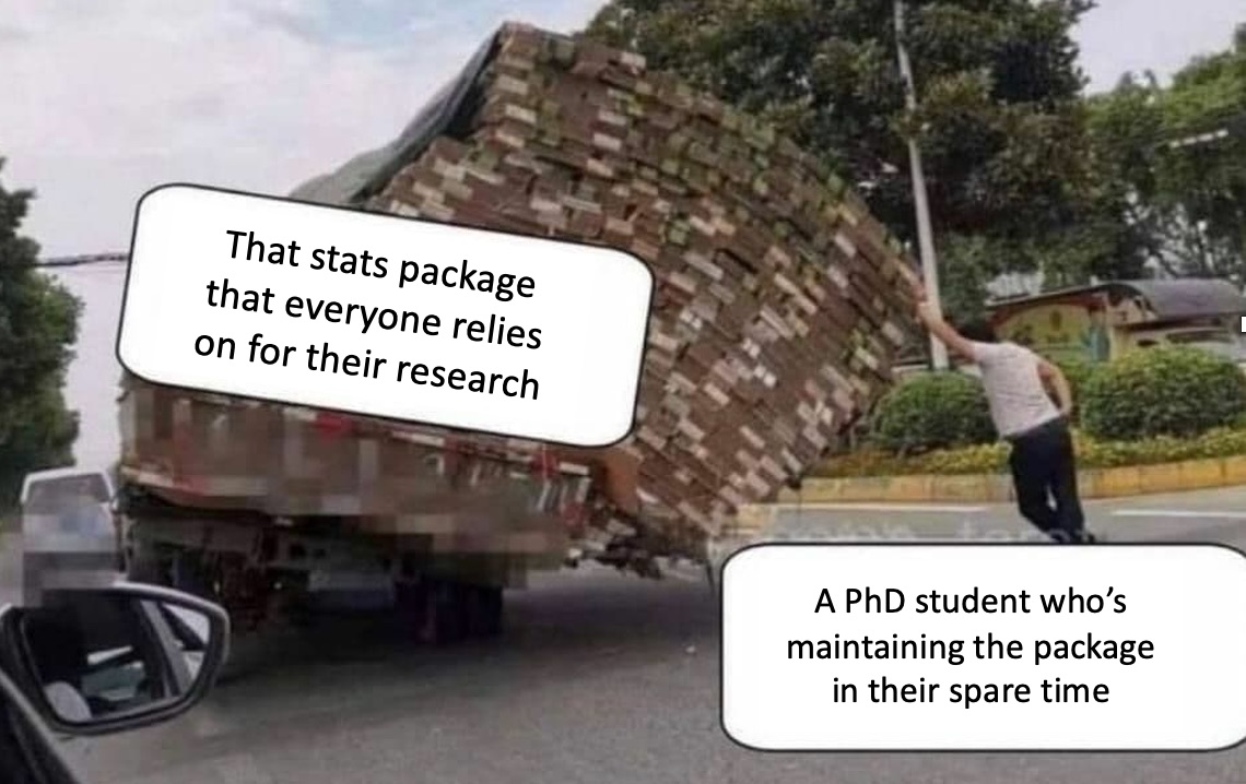 We all need to get better at supporting package developers by citing them in our work (me included). 

Package development also needs to be better rewarded. Many packages have a far bigger "impact" than the average paper, yet they don't count nearly as much in evaluations.