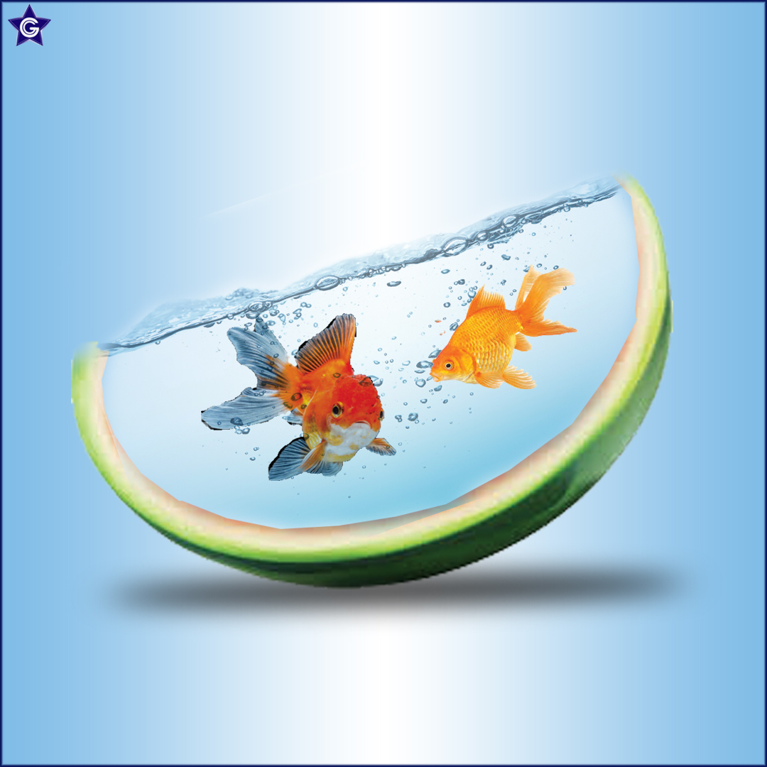 Watermelon Aquarium.🍉🐠

#graphicgratification #watermelon #fish #digitalart #fantasyart #conceptart #manipulation #photoshop #beyondsurreal #doubleexposure #Creative #surreal #graphicdesigns #graphicdesigners #visualdesign #theuniversalart #artwork #designer #water #VisualArt