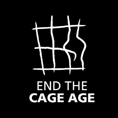 IVSA Animal Welfare tweet media