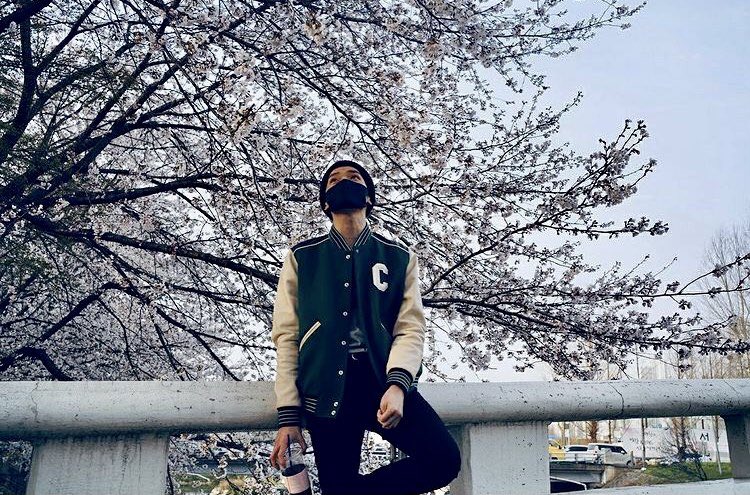 tyongiesoft's tweet photo. taeyong and cherry blossoms 🌸🌸🌸 https://t.co/mSCsHg4Zvn