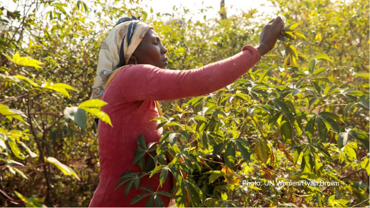 SUN_Movement's tweet photo. Still on time for @GNReport &amp; @SUN_Movement "Building Momentum for Nutrition for Growth Year of Action - roundtable 3" Country-focused roundtable with key actors at the regional and country level around #NutritionYearOfAction - 8 Apr 13:00 (CEST) https://t.co/jvtks6IQJy https://t.co/Q90mSD9JN9