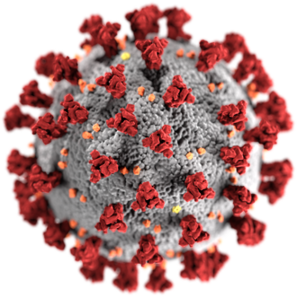 Viruses are foreign invaders, so it’s easy for the immune system to spot molecular hallmarks (‘antigens’) as different – vaccines are designed to show these antigens to the immune system so it can build a long-lasting defence without actually getting the disease [4/17]