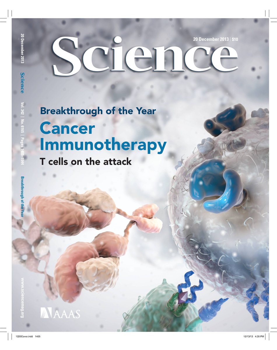 One of the biggest breakthroughs in cancer immunotherapy (after much disappointment) was the discovery of signals cancer cells tune up that put a dampener on the immune response – ‘immune checkpoints’ By blocking these blockers, it could re-awaken an anti-tumour effect [10/17]