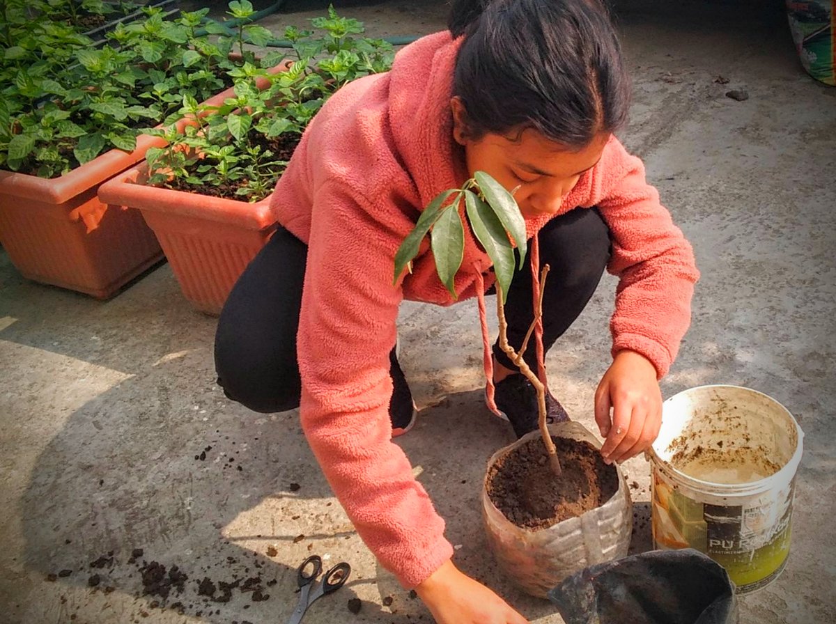 Osmosis_EXO's tweet photo. A small plantation for #EXO9thAnniversary with @EVSS1485 ❤️
Wishing for our Earth to go Green 🍃
#EXO9TreeOfLife
#9ToEnternityWithEXO
#EXO @weareoneEXO https://t.co/CbPl1pL22r
