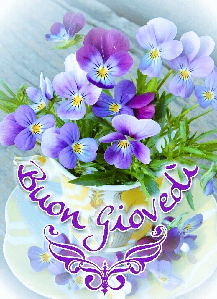 andreapescheche's tweet photo. @FerriGabriella @jaded2009 @valeriemeillet @Estherilla811 @SP64088818 @mjrowe28 @yasmin_ali10 @lesleybradbury3 @EwciaFr @taniasggarcia11 https://t.co/upBiggnagz