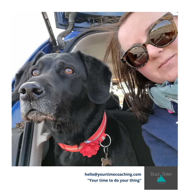 yt_coaching's tweet photo. For everyone that knows me - this girl is my world. During lockdown she has kept me going as she loves and needs her walks and especially travelling in the car. 
Making sure I take time out is so important but have always got an excuse as I need to do it for her as well. https://t.co/MuT2t1QNFX