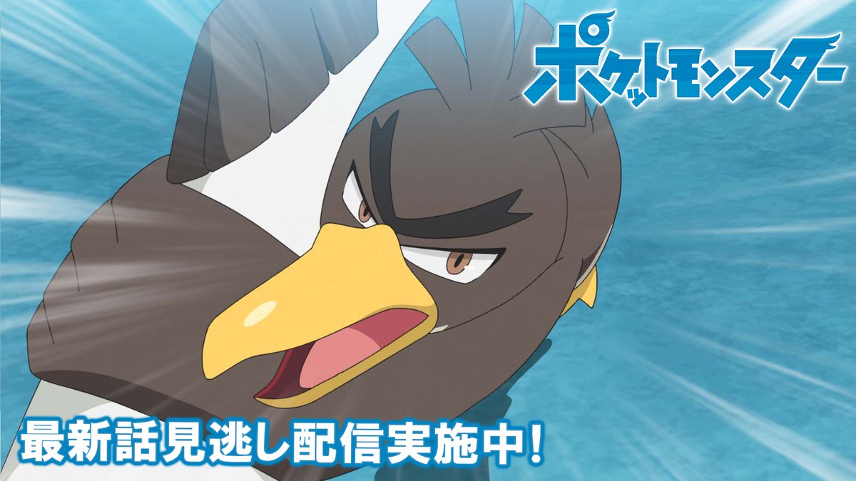 ポケモン公式ツイッター 公式youtubeチャンネルでは アニメ ポケットモンスター の見逃し配信を行っているよ 前回のお話は めざせネギマスター つらぬけ騎士道 明日4月9日 金 よる6時55分からの最新話の放送前に これまでのサトシとゴウの ポケモン公式ツイッター 公式youtubeチャンネルでは アニメ ポケットモンスター の見逃し配信を行っているよ 前回のお話は めざせネギマスター つらぬけ騎士道 明日4月9日 金 よる6時55分からの最新話の放送前に これまでのサトシとゴウの