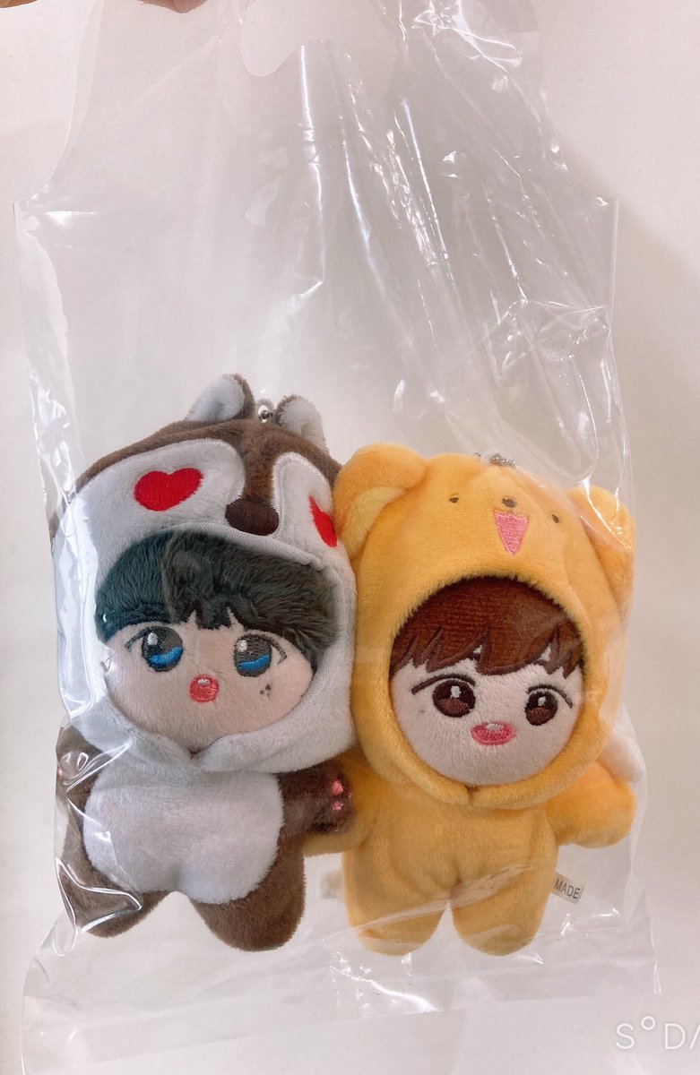 어먀의 간식을 노리는 두마리의 하이에나 
콩알, 쪼꼬.
강제연행중🚔