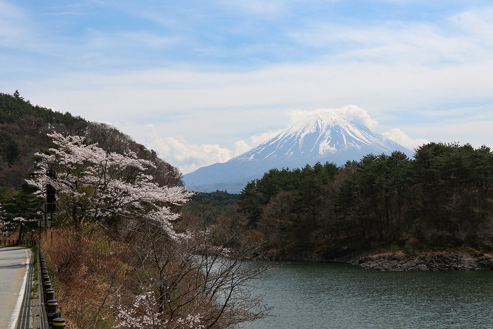 富士桜高原別荘地 Fzgenti Twitter 富士桜高原別荘地 Fzgenti Twitter