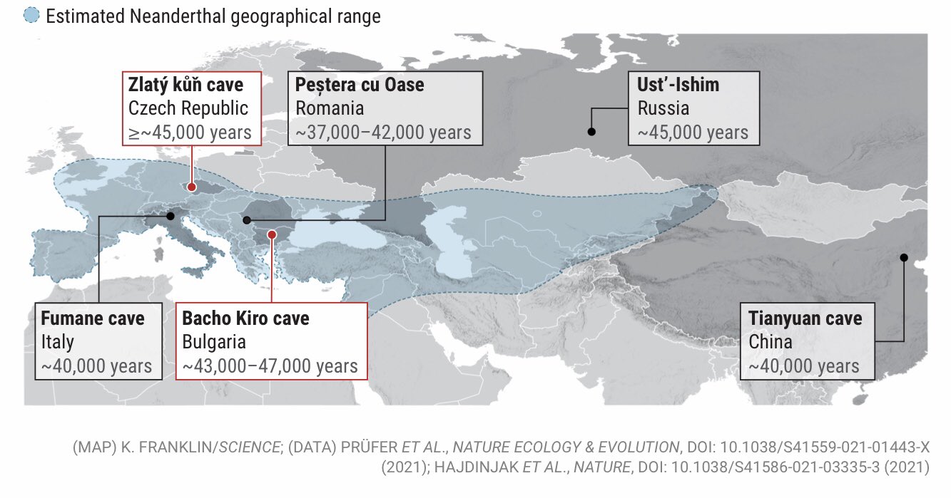 The Ice Age On Twitter More Than 45 000 Years Ago Modern Humans Ventured Into The Neanderthal World Here S What Happened Next Https T Co Qsqrf3so5l Iceagehumans Https T Co T8scbgnlna Twitter