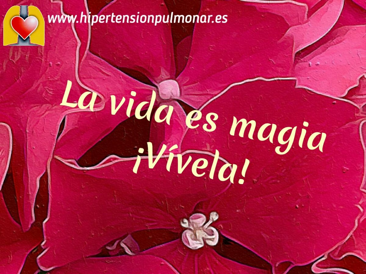 ANdHP's tweet photo. Tu vida es tu jardín, cuida de tus flores y olvida las hojas caídas.
#FelizJueves!!
#HipertensiónPulmonar 
#actitudpositiva 
#VamosLejos #vivir #somosfuertes 
#fightpah #somosHIPER
https://t.co/igMAfrd8xV
imagen: Beatriz Moya https://t.co/Jr1DIEzbEx