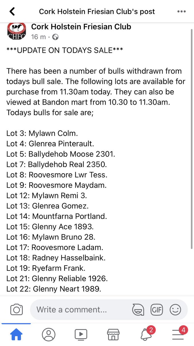 Cork Holstein Friesian Club (@corkfriesian) on Twitter photo 