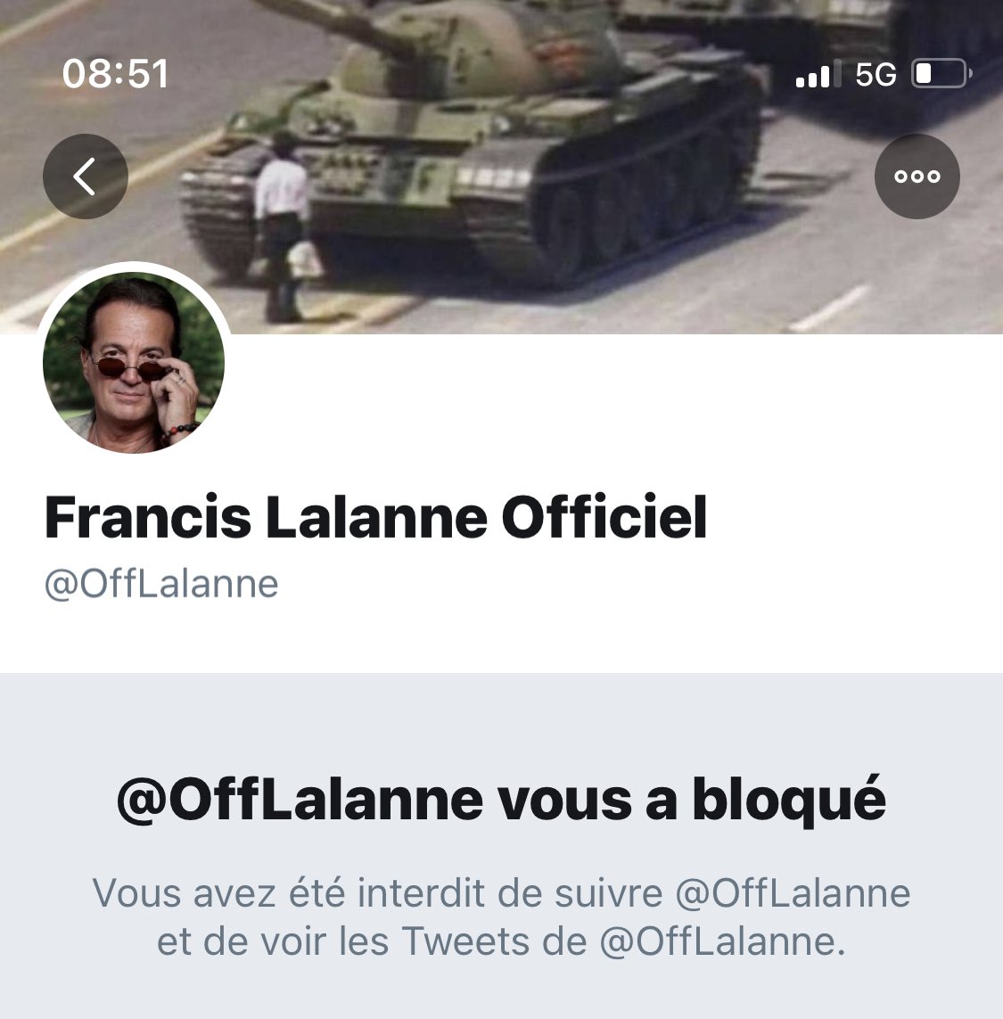 Francis Lalanne n’est pas un complotiste, mais il a bloqué préventivement tous les comptes Twitter qui pouvaient relever ses mensonges : debunkers, fact-checkers, médecins NoFakeMed...Même sans avoir interagi avec lui :
